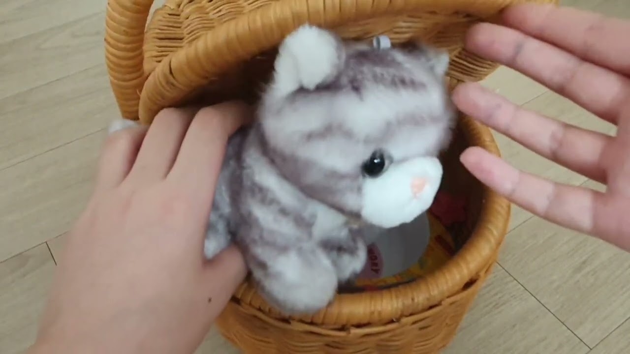 좀비 바이러스 1일차 #브이로그#인형계#힐링#고양이#cute