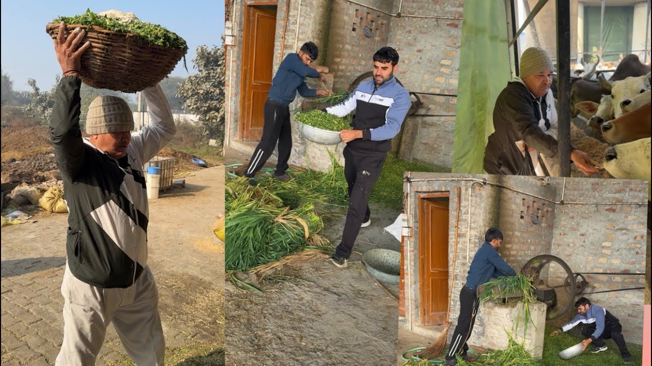 गौ सेवा परमो धर्मो! सामर्थ्य अनुसार अपने आस पास गौ माता की सेवा करो,यही हमारा सनातन संस्कृति धर्म है