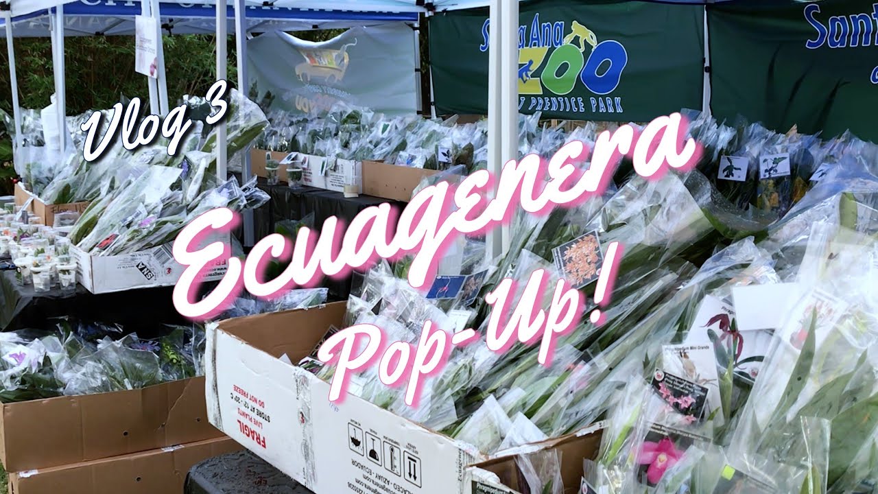 Vlog 3 | Santa Ana Ecuagenera Pop Up!