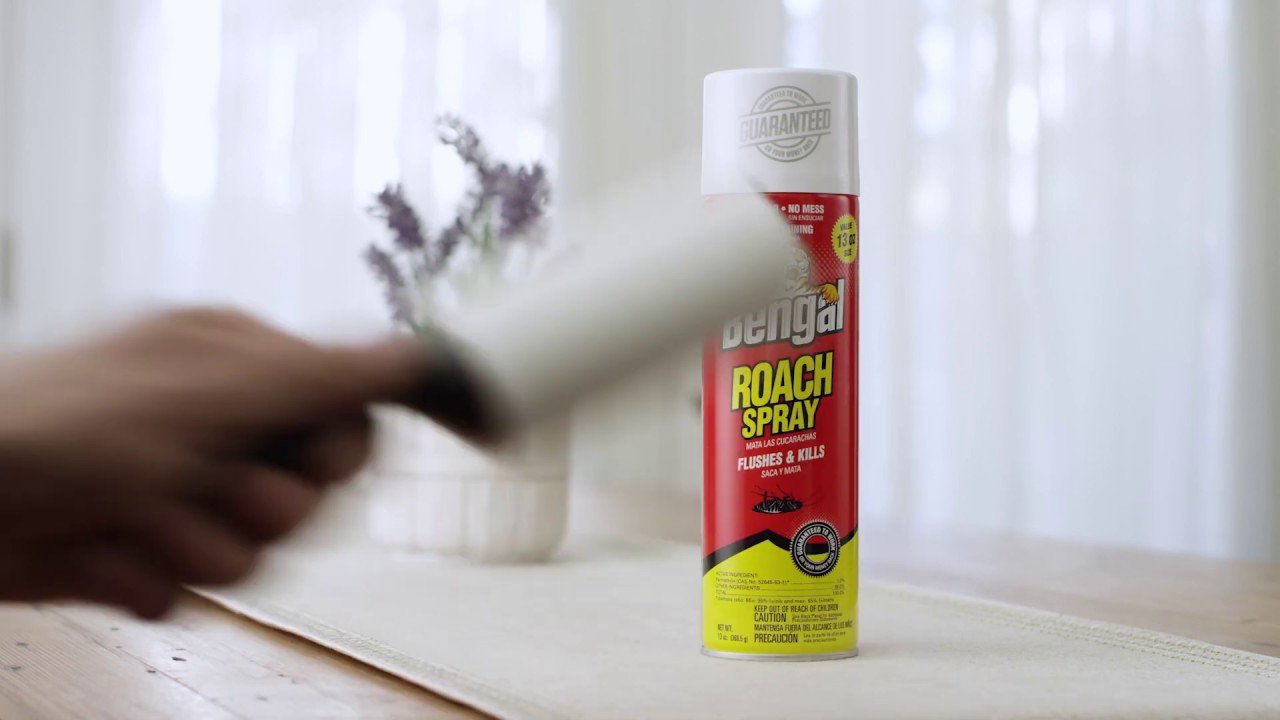 Bengal Roach Spray - Do It Yourself