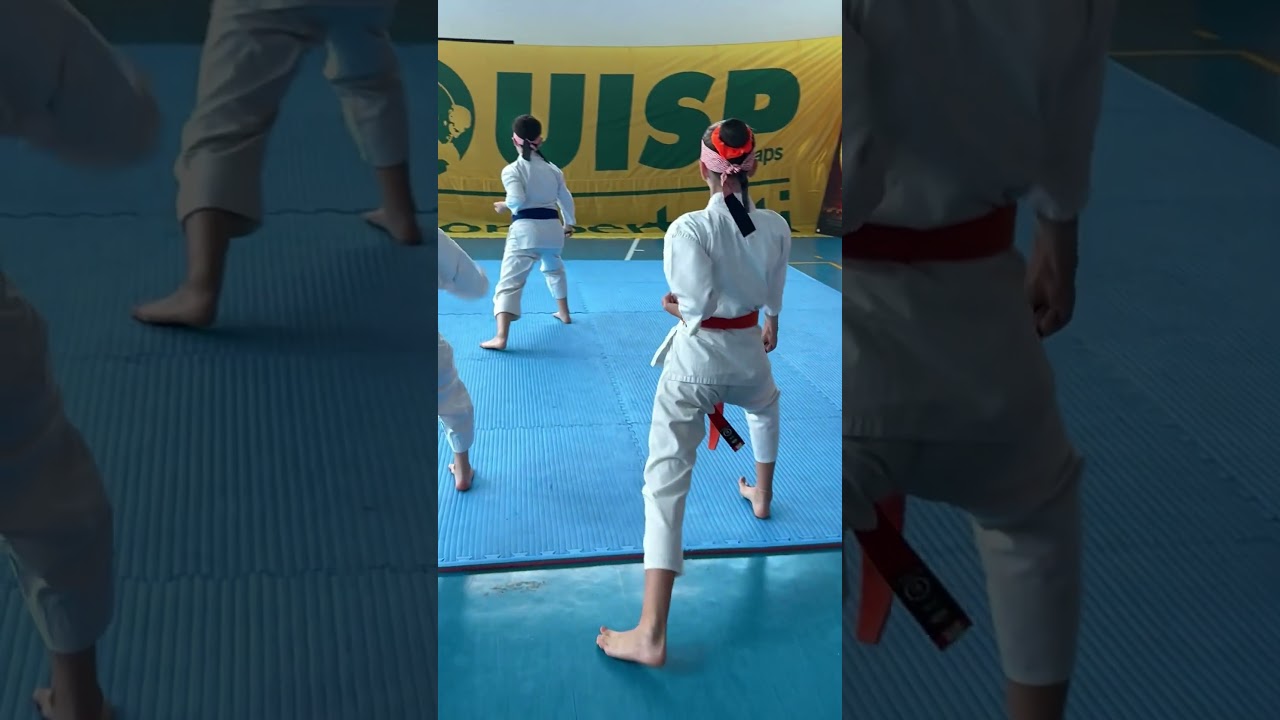 Karate Kid Legends Palestre UISP