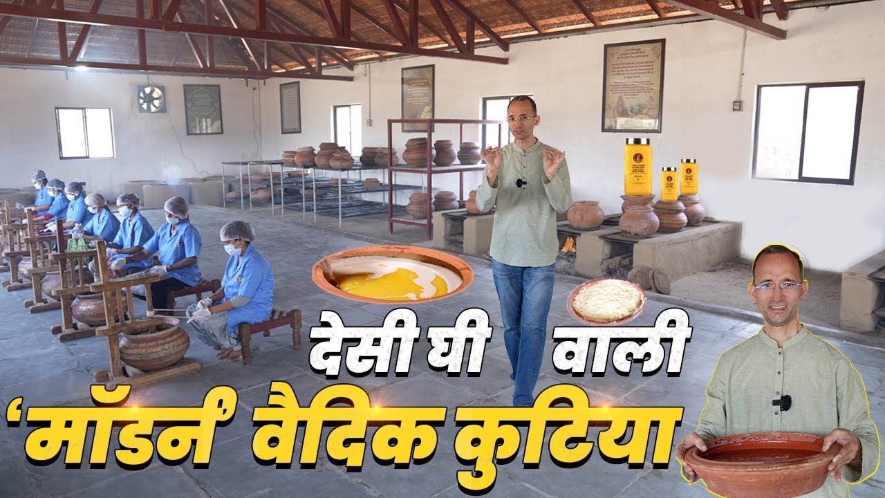 बिलोना घी बनाने के 5 Steps 👌 400 रुपए वाला घी खाएं या 4000 रुपए वाला ⁉️ Gir Amritphal Gaushala