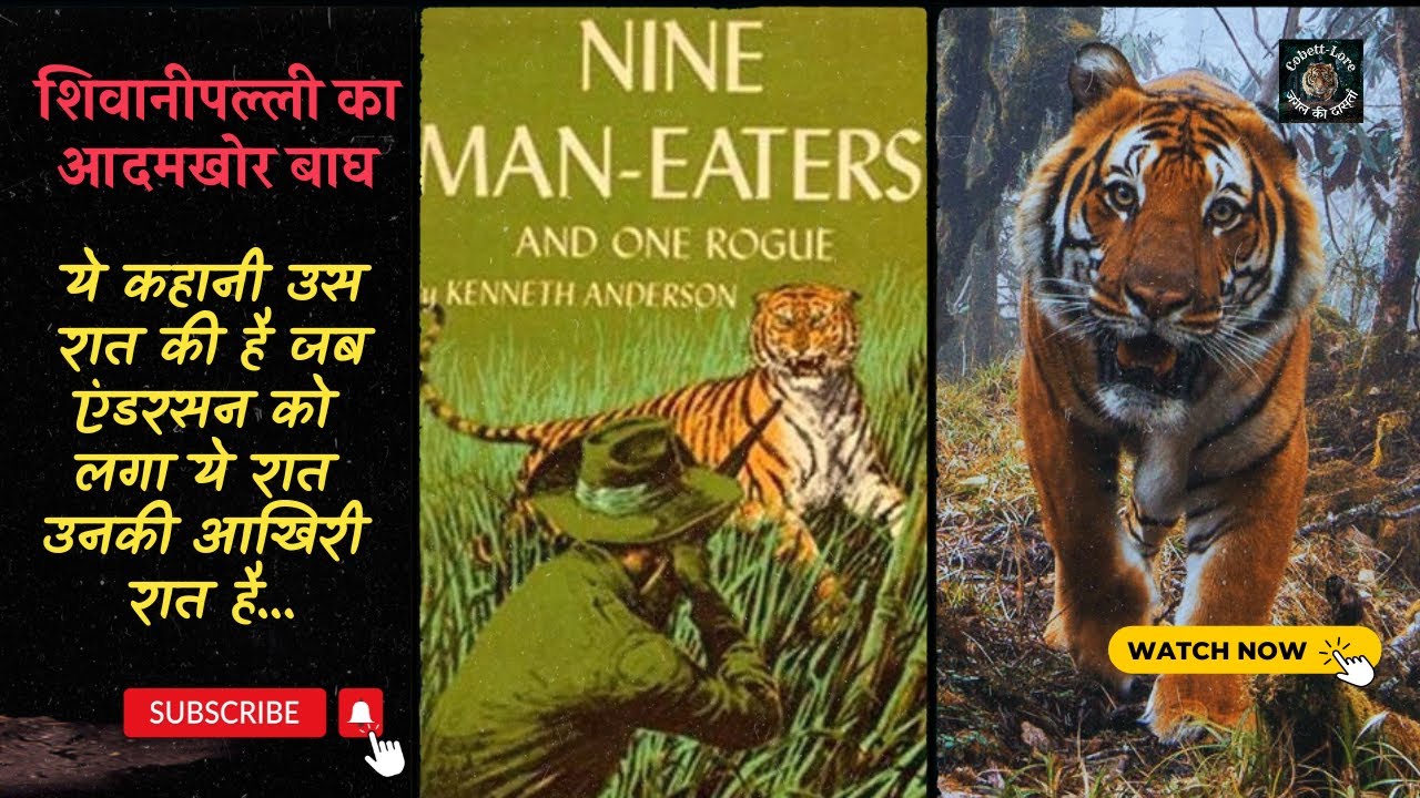 शिवानीपल्ली का आदमखोर बाघ | एंडरसन ने बिना देखे गोली से बाघ का जबड़ा तोड़ डाला #CorbettLore #hunter