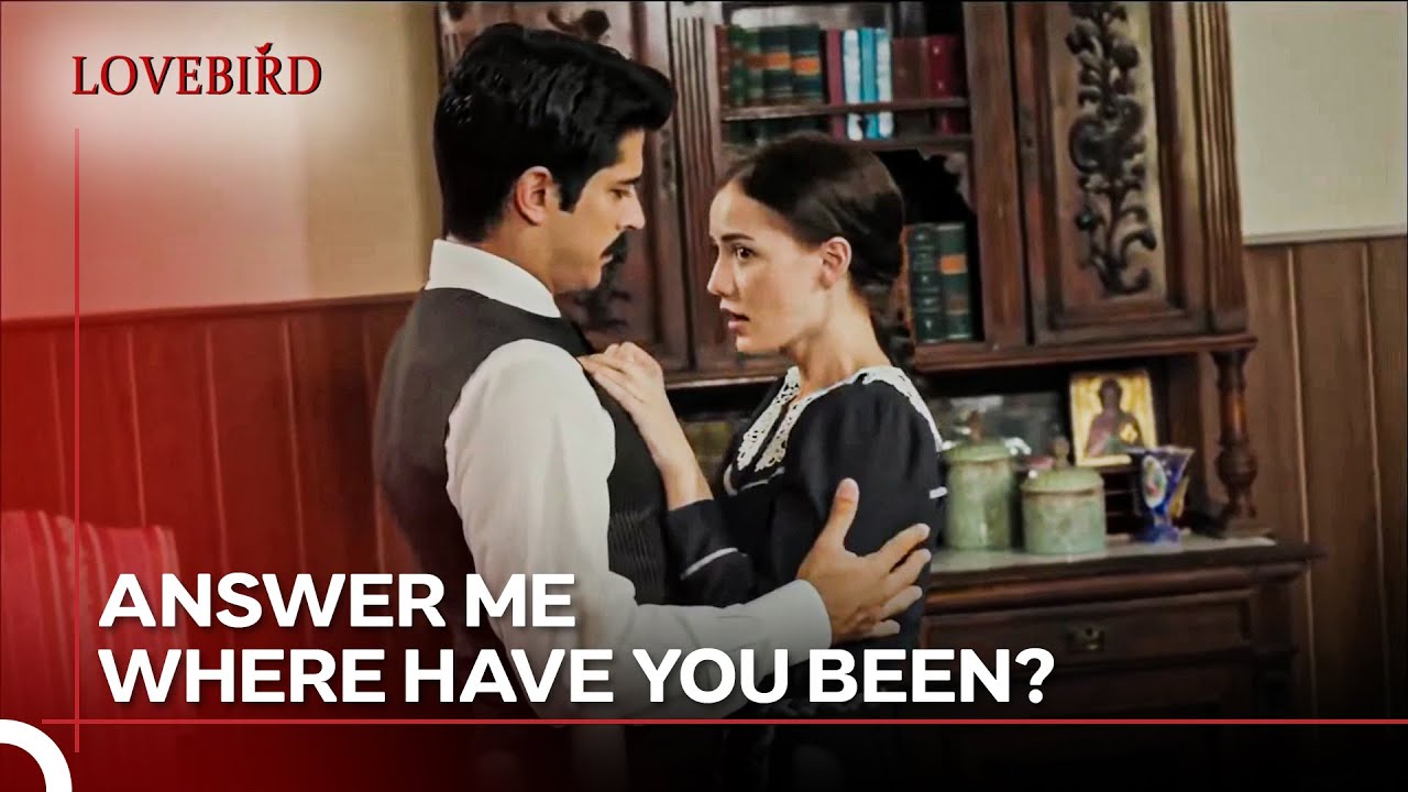 Kamran Trapped Feride In The Room - Lovebird Episode 2