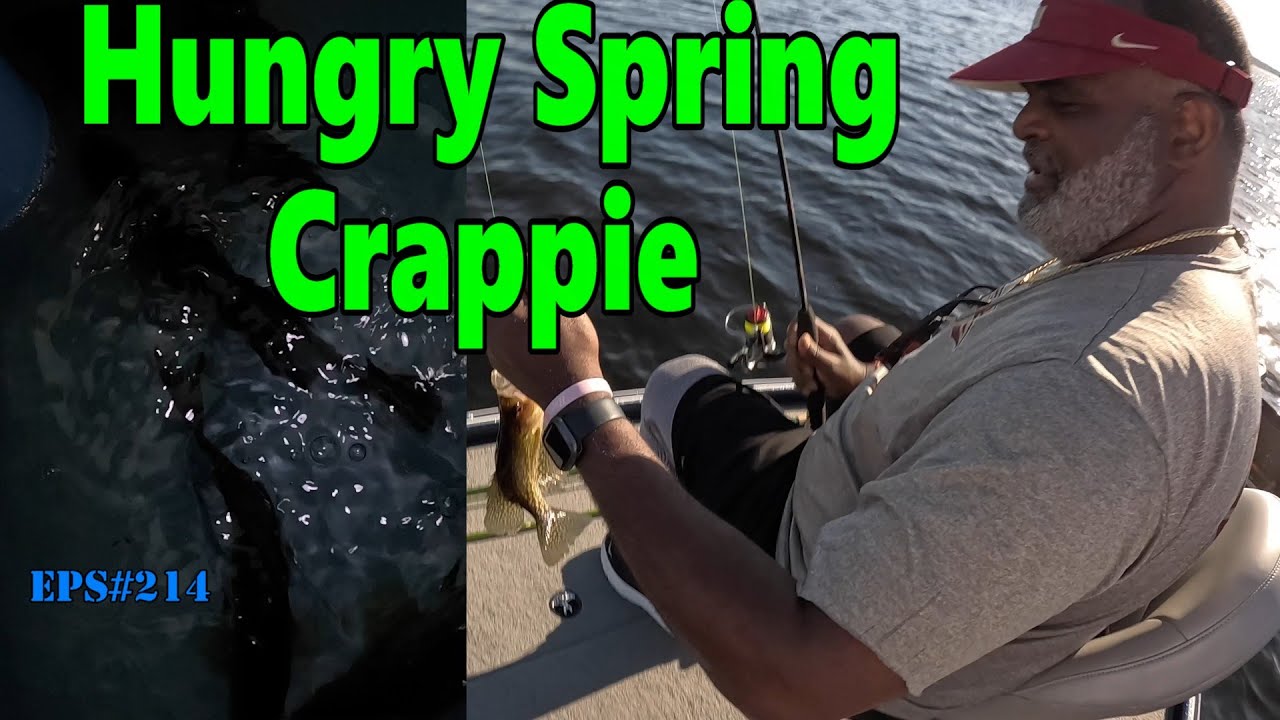 Hungry Spring Crappie on Lake Iamonia Eps214