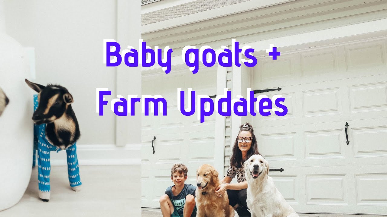 Easy Cheap Farmhouse Updates | Glowup your Garage For Under $100 | Lauren Stewart + Amazon