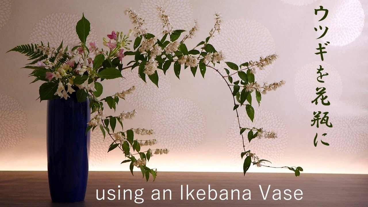 【生け花】奔放に伸びた空木を花瓶に【ikebana】ハコネウツギ/羊歯/using an ikebana vase/插花花瓶/The center of the branch is hollow/瓶花