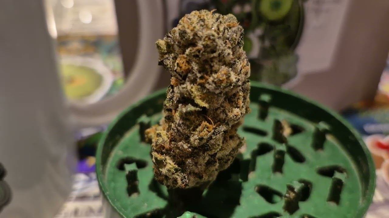 Kasa Verde GO T27 Grape Octane Medical Cannabis Flower (18+)