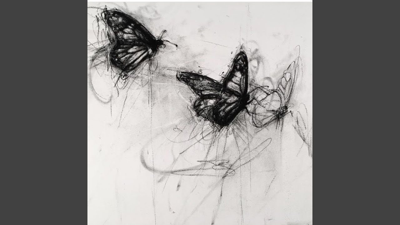 BUTTERFLIES
