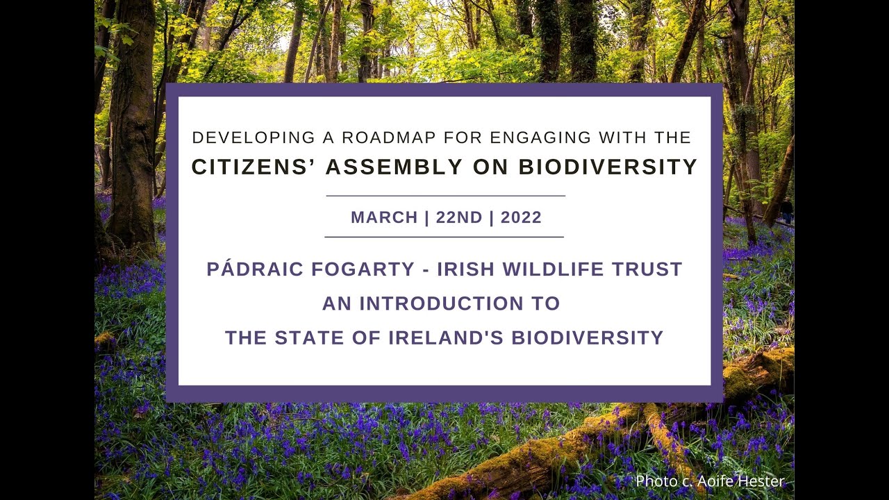 Padraic Fogarty - An introduction to biodiversity in Ireland