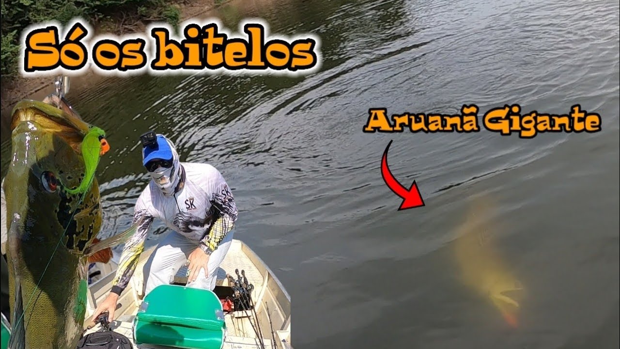 Só os Bitelos filmado pelo piloreiro no Rio Curuicu Roraima Lago do Homero 