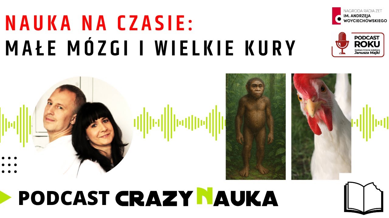 134  Nauka na czasie   małe mózgi i wielkie kury