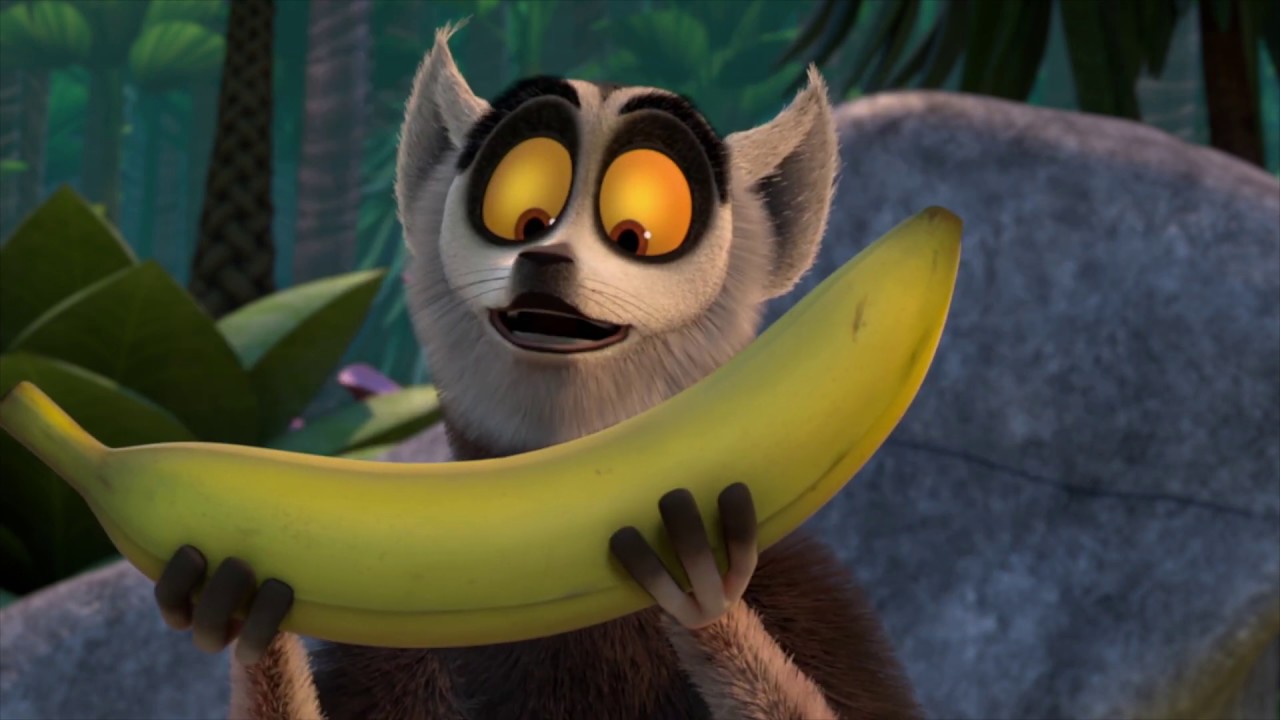 Saúdem Todos o Rei Julien | Uma banana? | Madagascar | Desenhos Animados
