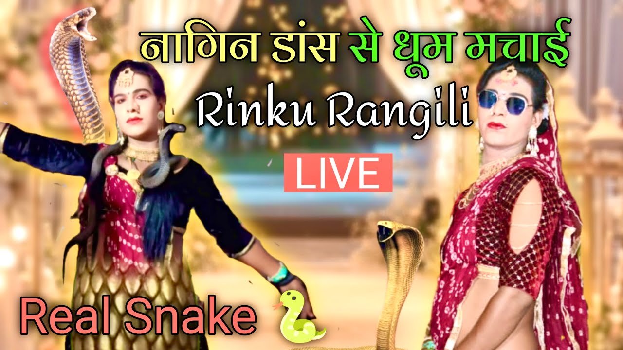 नागिन डांस किया रिंकु जी || Real snake with Rinku Rangili Dance || @RinkuRangiliOfficial 