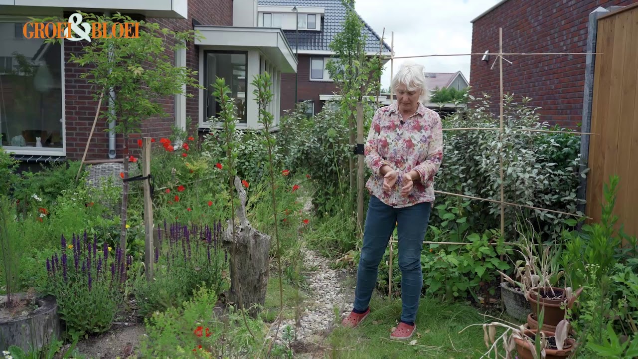 G&B OpentuinTV: tuin van Andrea en Frank in Heiloo