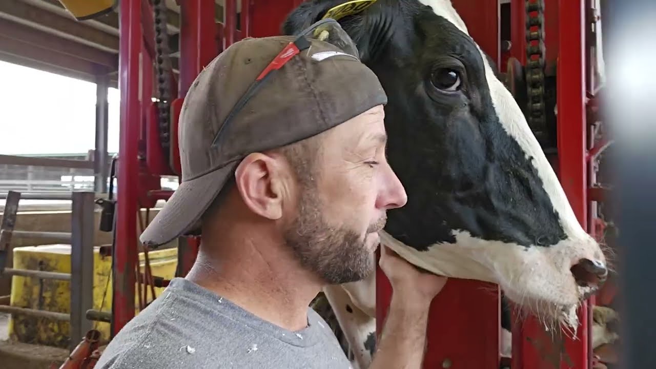 Double Sole vs. Sole Separation on HOOF