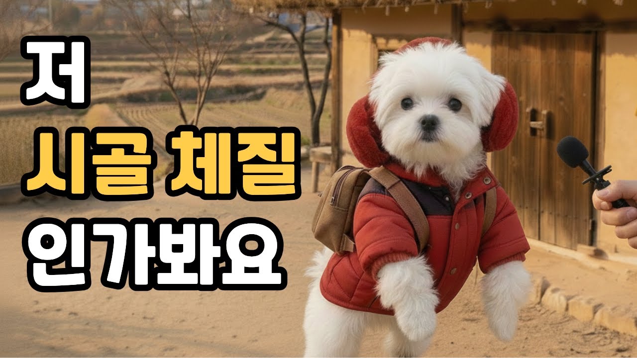 시골 할머니 만나러 간 강아지