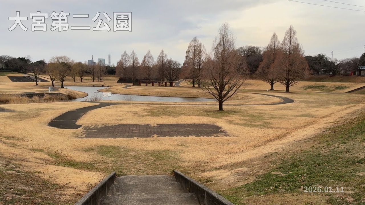 【環境音のみ】早朝散歩｜大宮第二公園｜2026.01.11