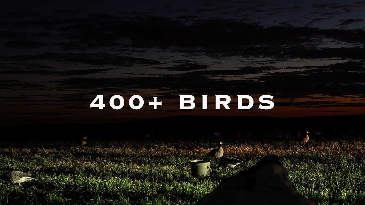 Duck Hunting Saskatchewan, Canada | A Week in the Prairielands