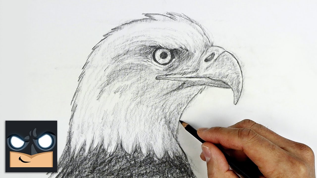 How To Draw a Bald Eagle | Beginner Pencil Tutorial (Step-by-Step)