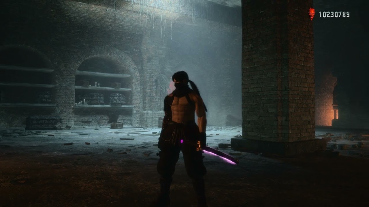 Devil May Cry 5 Ninja Gaiden mod mission 9 (DMD)