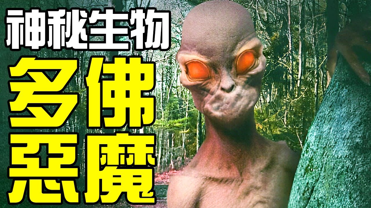 【UMA丨多佛惡魔】究竟是未被人類發現的地球神秘生物，還是外星人存在的證明？有多人目擊的神秘生物，多佛大頭怪The Dover Demon丨神秘動物學UMA羊駝解說丨黑毛羊駝