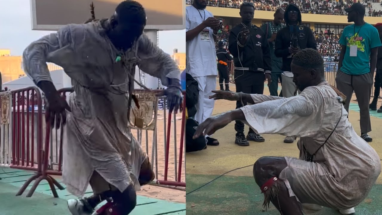 Tousse exceptionnelle de Siteu bou Ngor sur son combat contre Dame junior