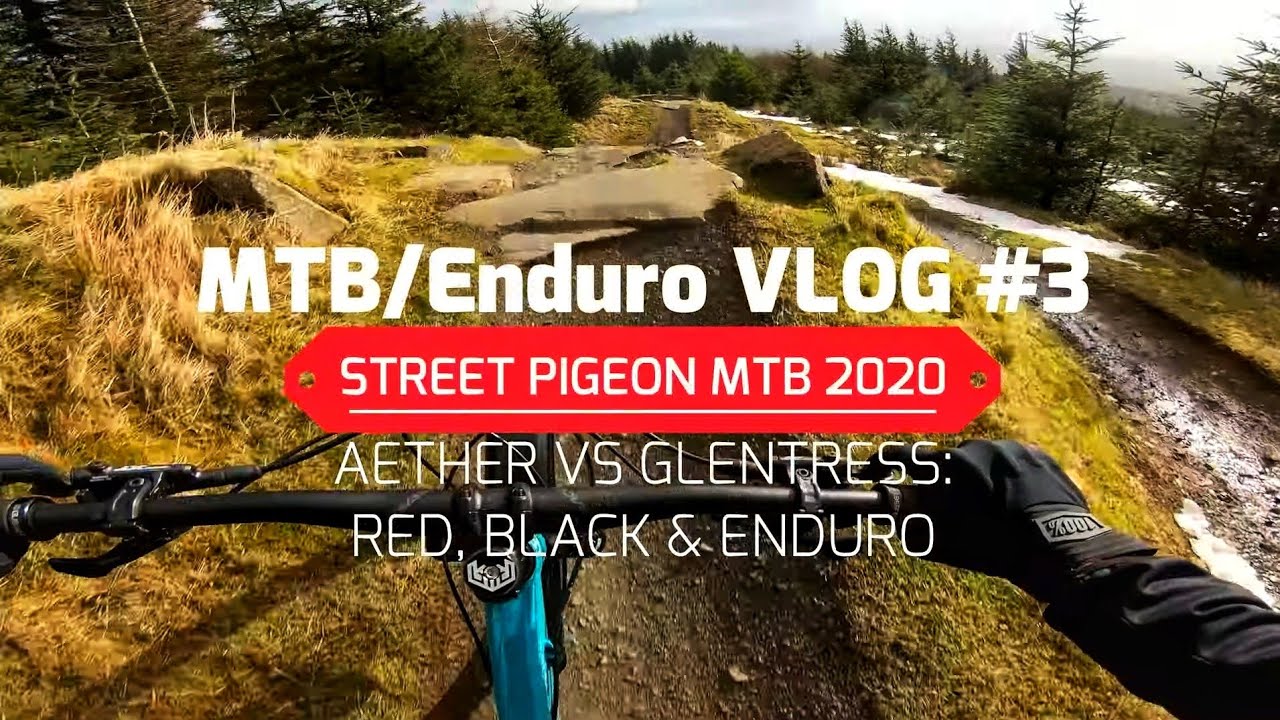 Glentress MTB Trails | Red, Black and Enduro Trails