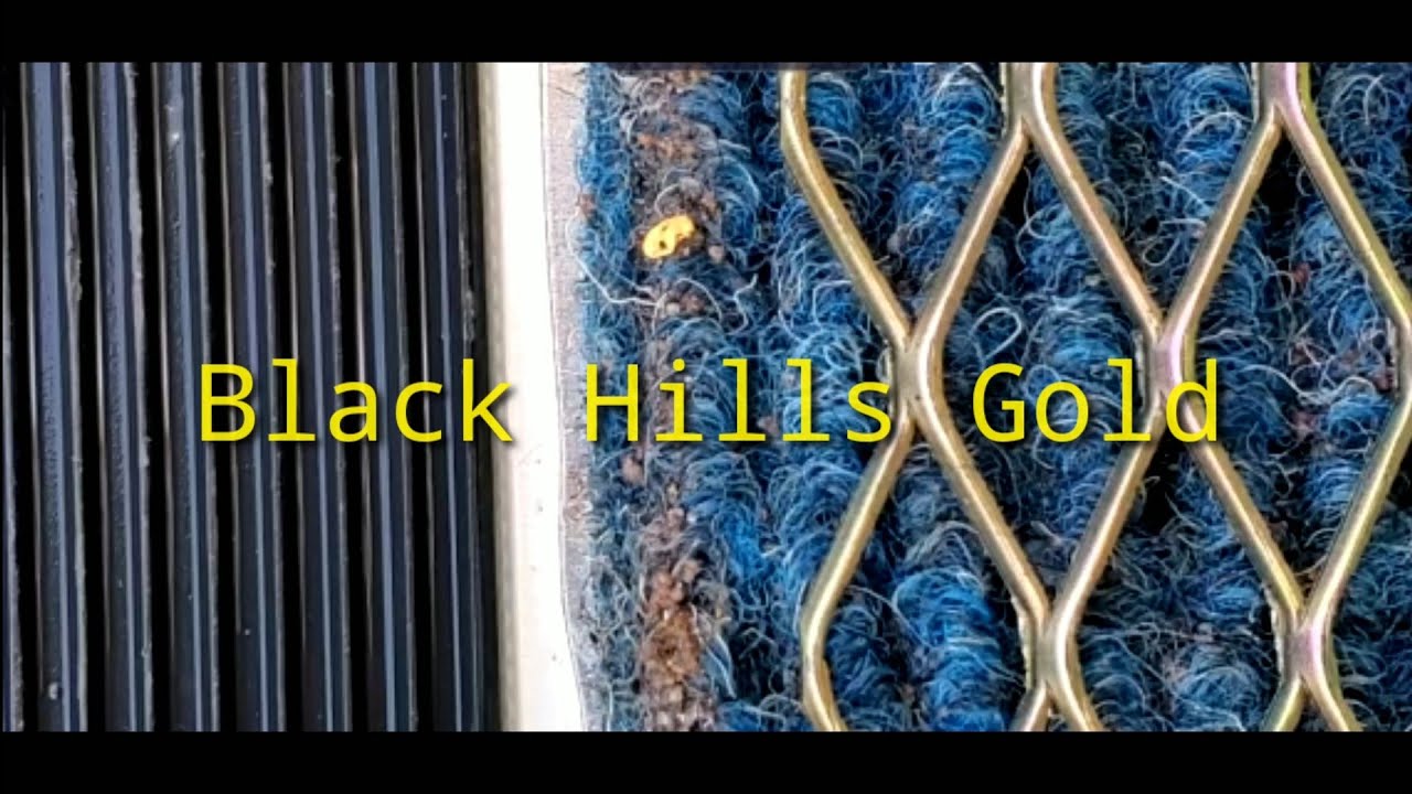 Black Hills Gold Panning - Sweeping Bedrock - South Dakota Gold