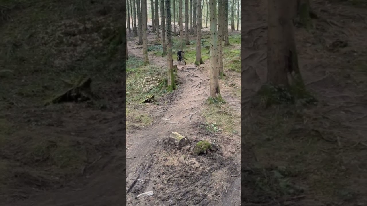 mtb at fod #alpine #downhill #mtb #orange #fun #forestofdean #dirtjumps #cwmcarn #challenge #jumps