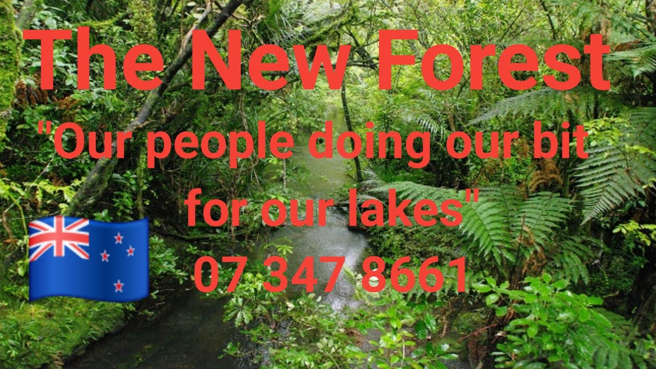 I am excited about Matai trees in my 30-year-old forest. Our People doing our bit for our lakes.