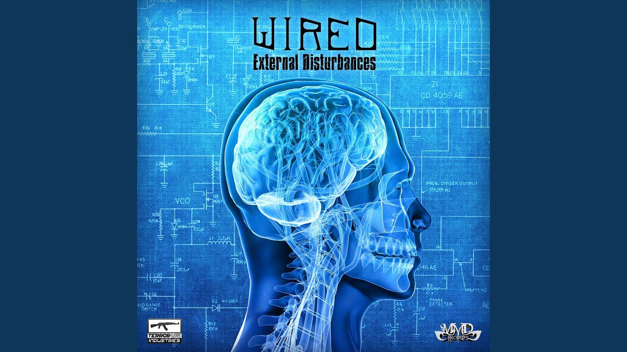 External Disturbances