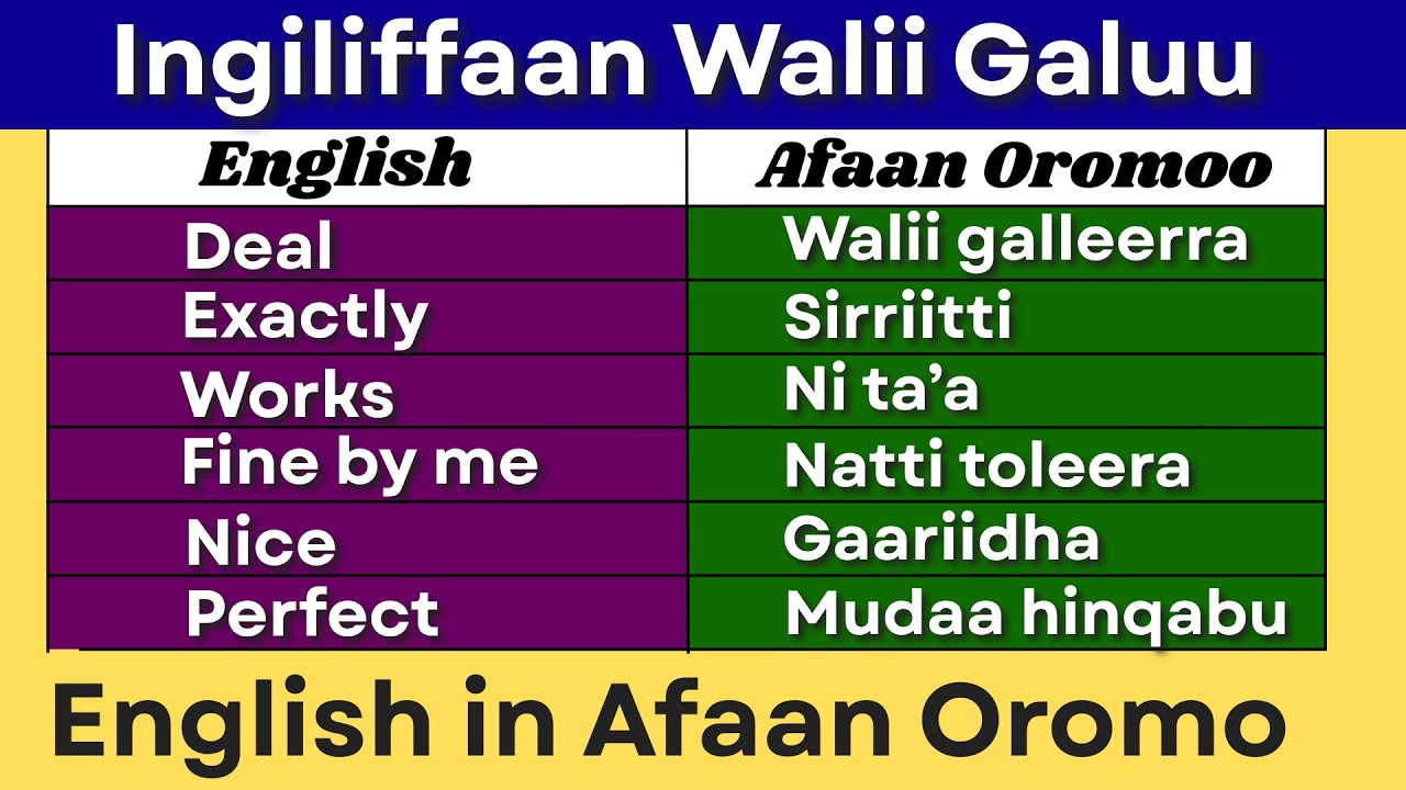 Ingiliffaan Walii Galuu (English in Afaan Oromo)#hirkoo #spoken| How to Express Agreement in English