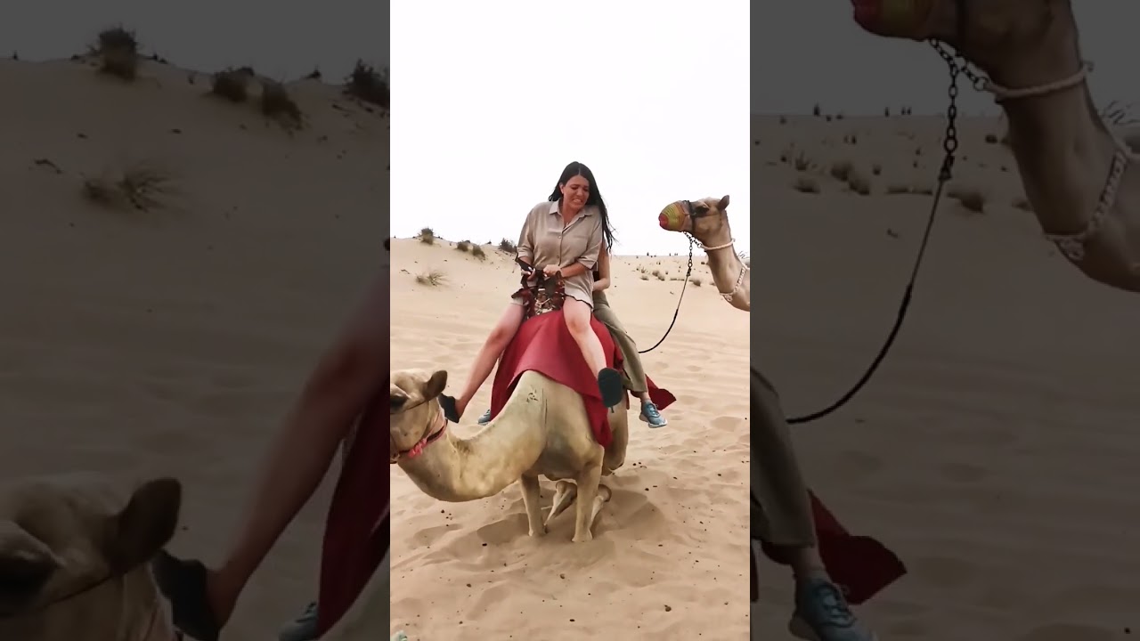 emotions Reactions funny att the camel ride att the desert safari camp Al Aweer #desertsafaridxbme