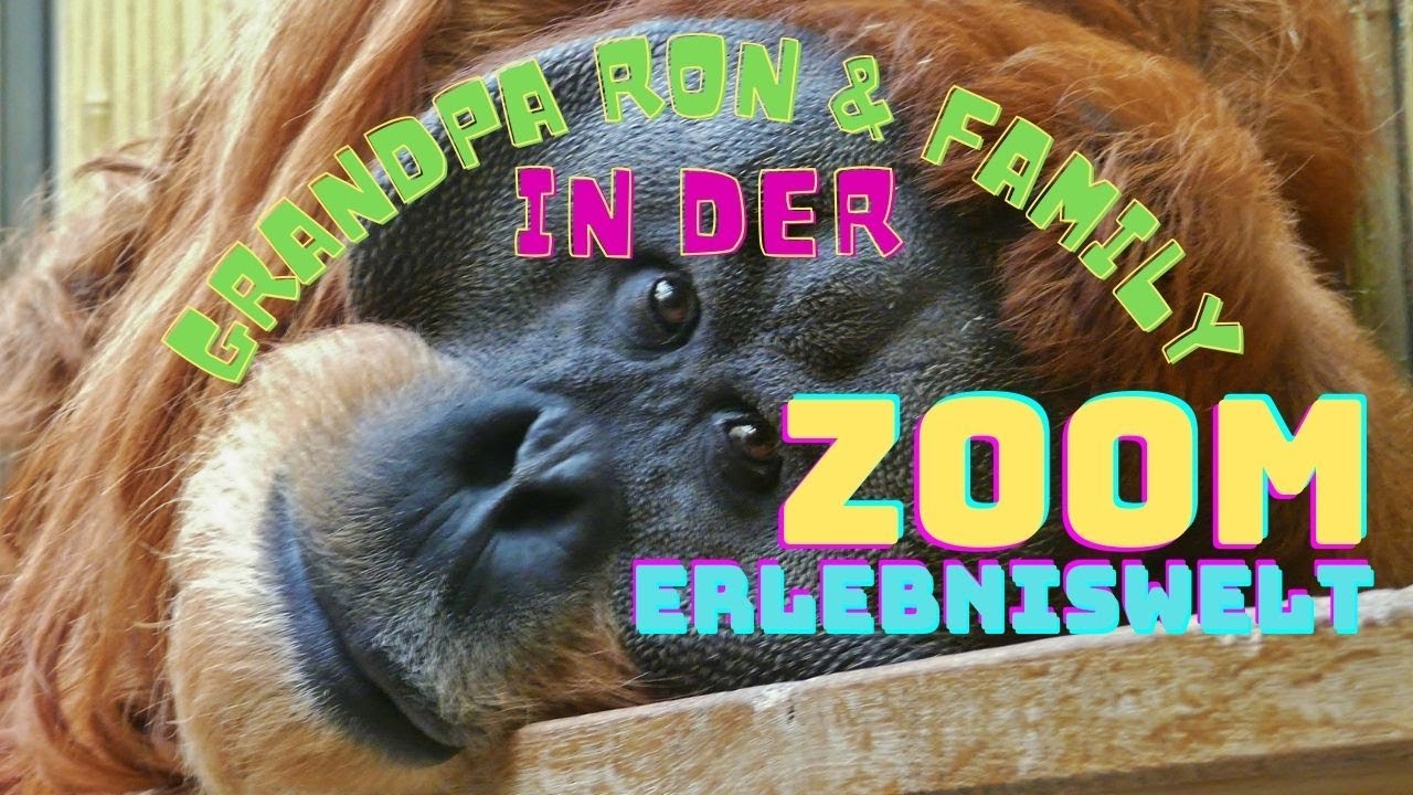 ZOOM Erlebniswelt - 