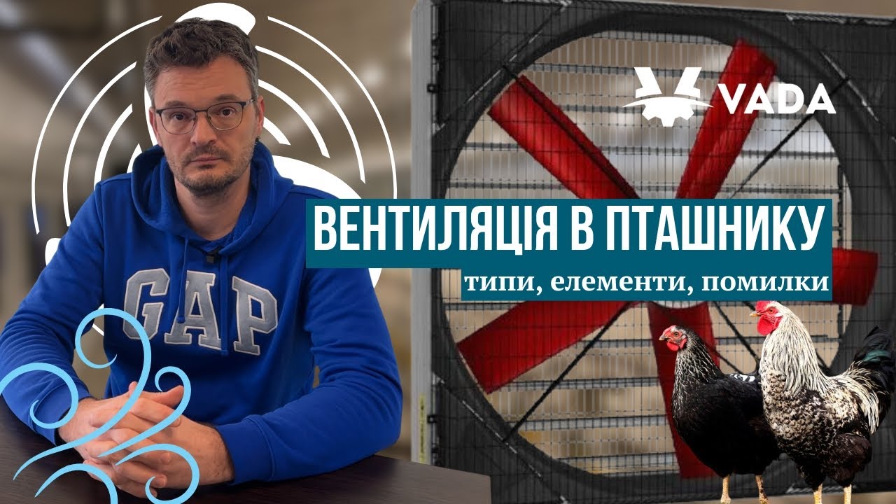 Вентиляція в пташнику: типи, елементи, помилки