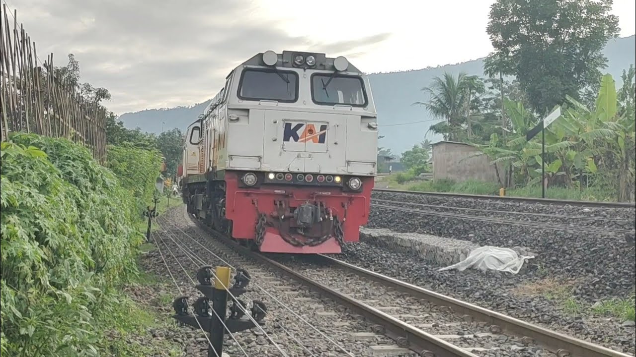 Video Kereta Indonesia Live Kereta Malabar dan Kereta Argo Wilis