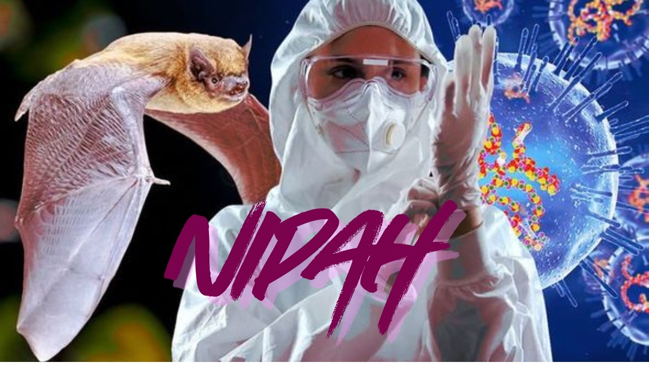 NIPAH Virus  Explained : Everything You Need To Know