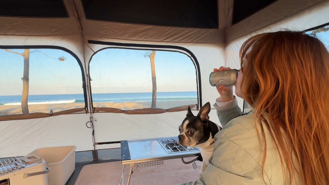 캠핑기록 | 따뜻한 겨울 날, 바다멍 같이해요 겨울바다🌊 로티캠프힐하우스 반려견묘동반 울진염전해변 꽃게라면🦀