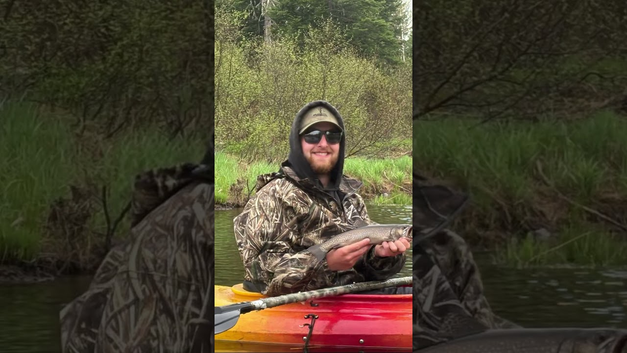 Weekend fishing trip #fishing #reels #shorts #shortvideo #river #outdoors #kayakfishing #northeast