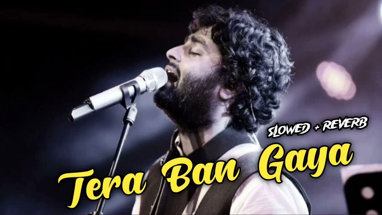 Tera Ban Gaya 2025 / Slowed + Reverb / Night Tune 