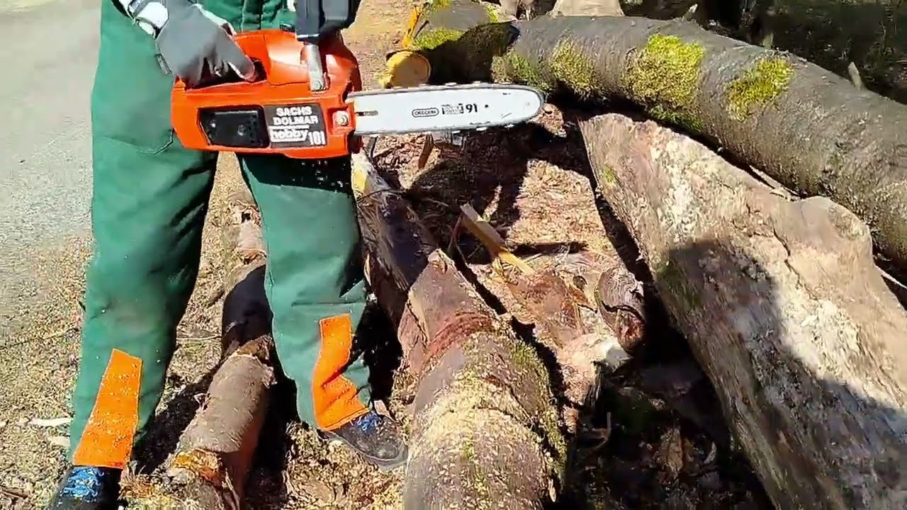 Sachs Dolmar 101 Hobby (Poulan Micro XXV) im Einsatz