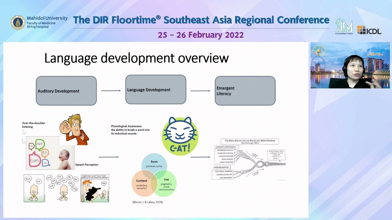 Speech Therapy, language development and DIR Floortime. How to tailor language for FEDC 4-6.