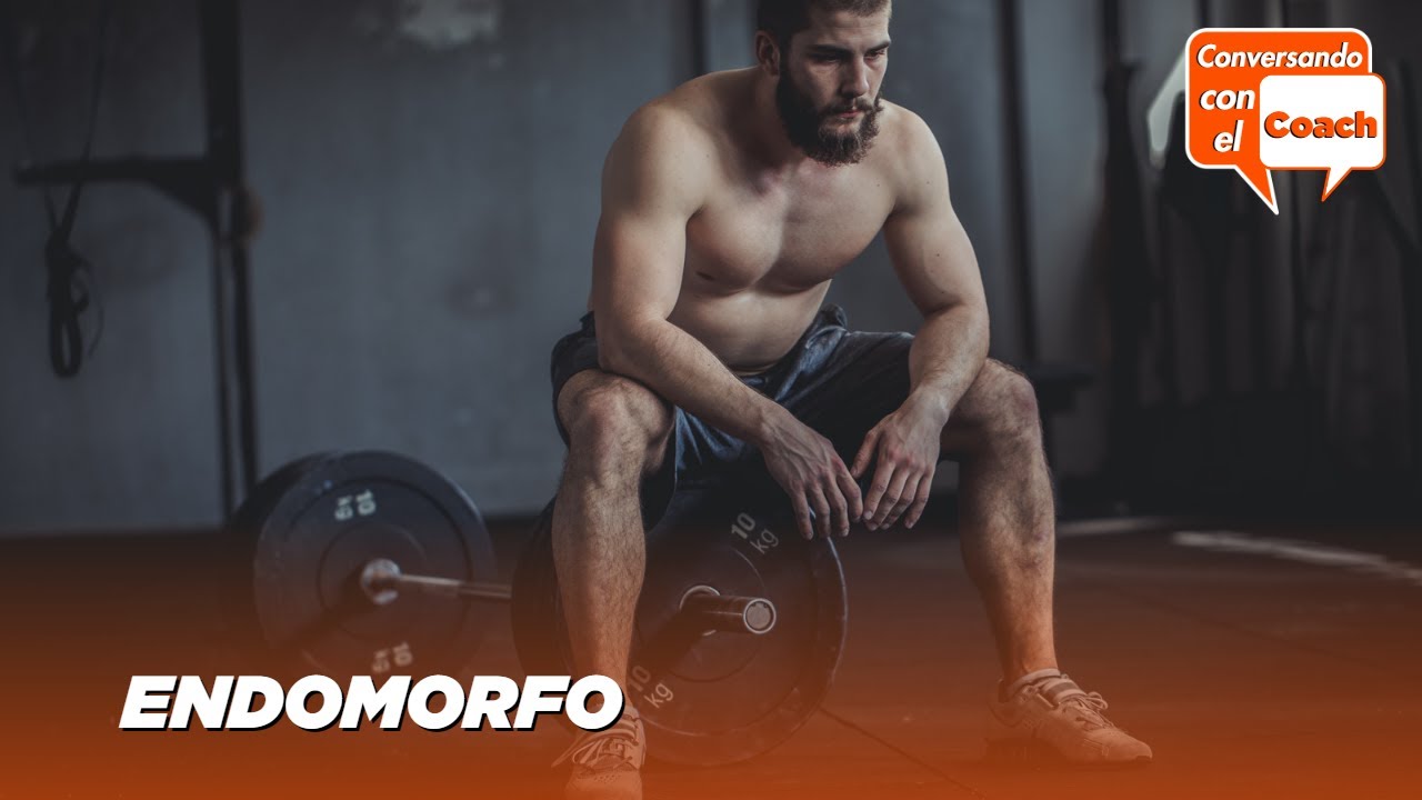 ¿Sabes que es tener un cuerpo endomorfo?