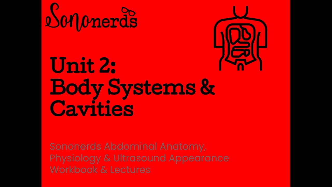 Body Systems & Cavities :: Unit 2 :: Normal Abdominal Ultrasound with Sononerds