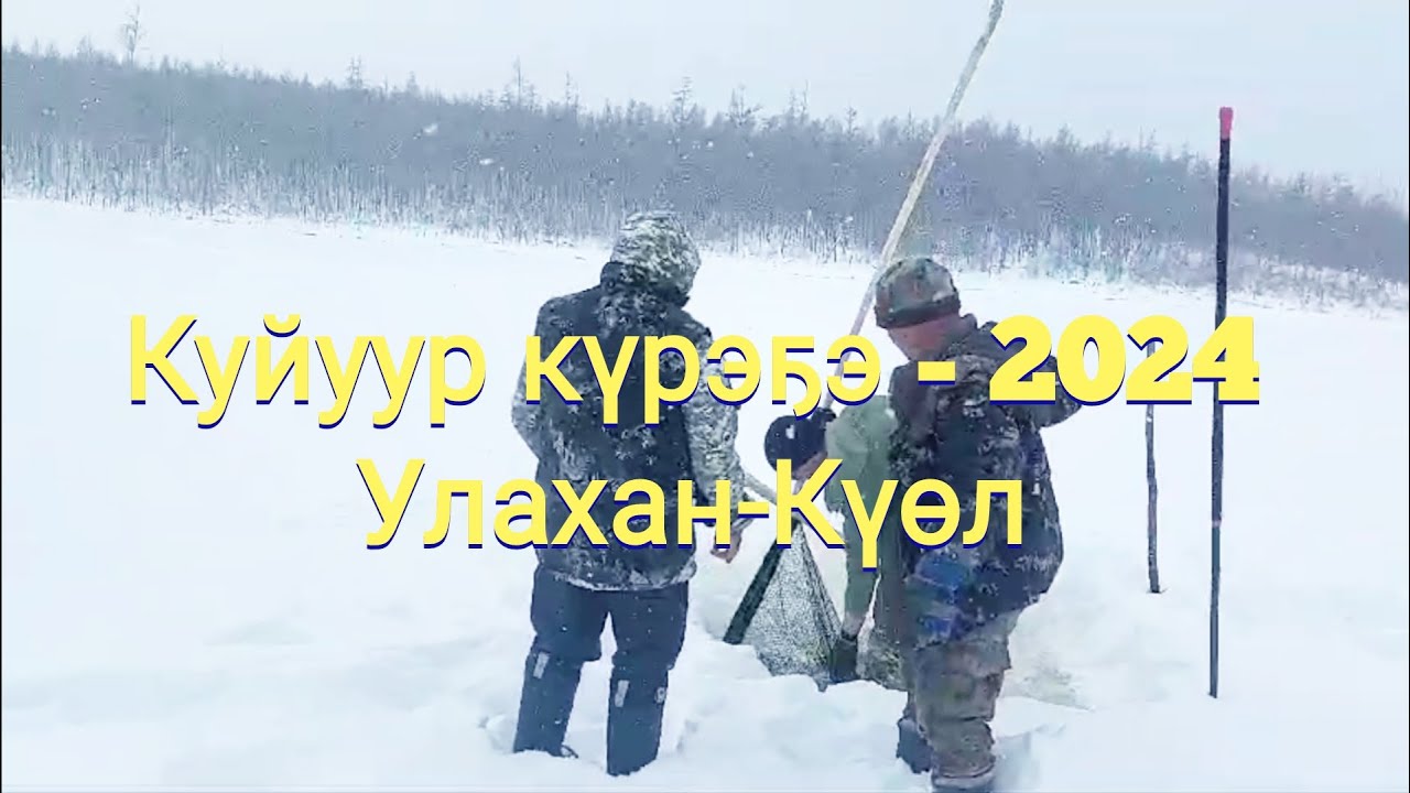 Куйуур күрэҕэр Бэрэ хамаандата