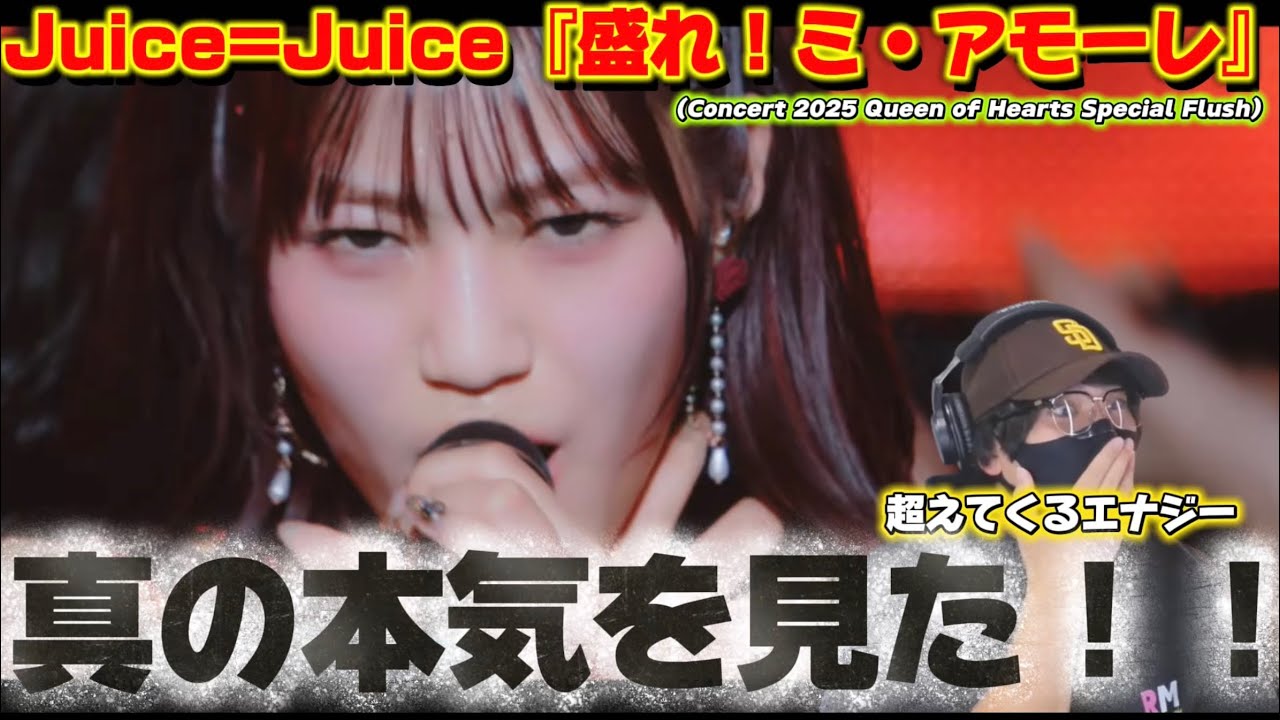 【Juice=Juice】もうアカン！！更に強く！更に美しく‼️ 『盛れ！ミ・アモーレ』(Concert 2025 Queen of Hearts Special Flush) リアクション