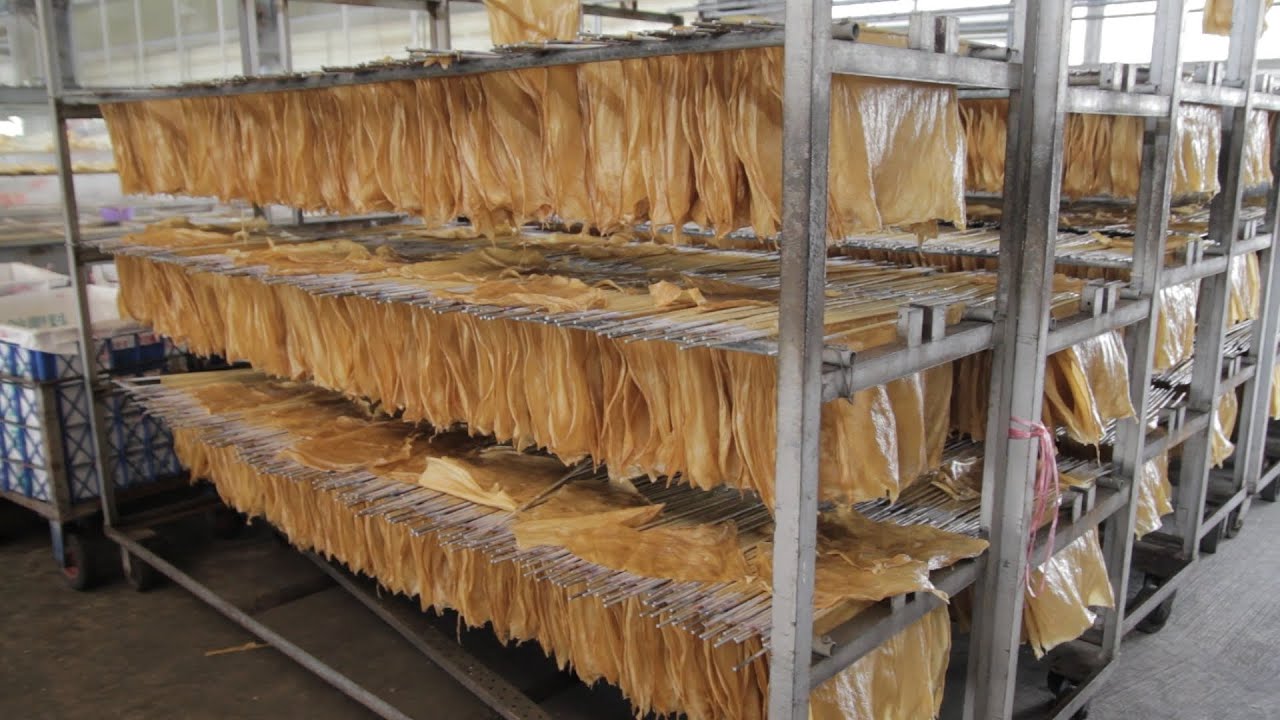 Amazing making tofu skin factory - Traditional Taiwan Tofu Skin Factory [Yummy Seasons]