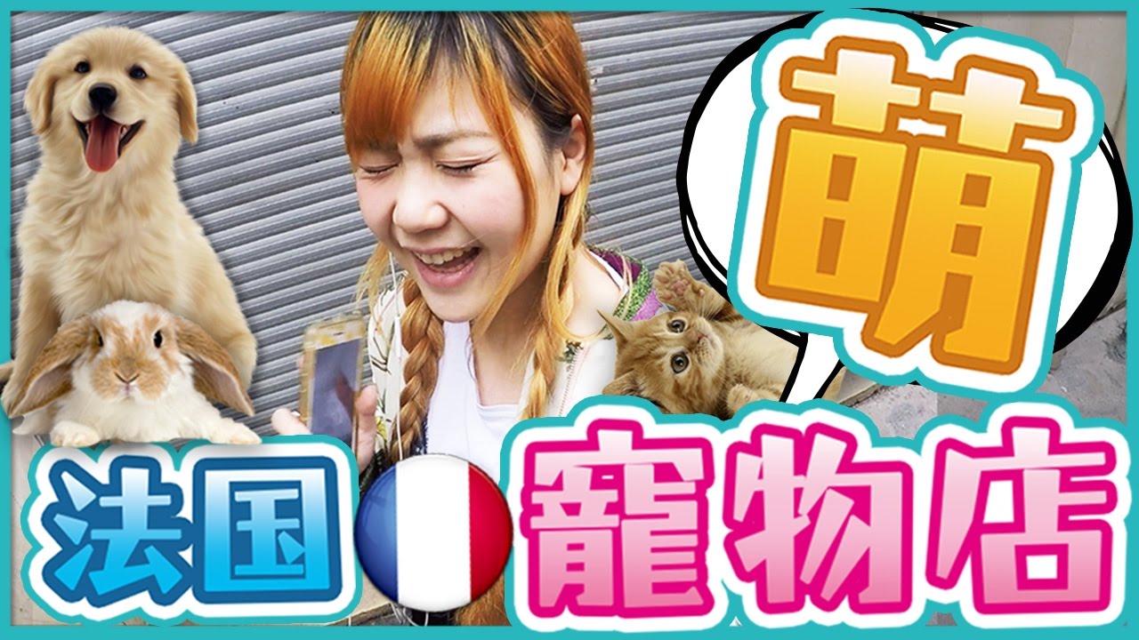 【法國旅遊vlog】太可愛了！Uta帶你逛巴黎的超萌寵物店！vlog pet shop in Paris｜Utatv