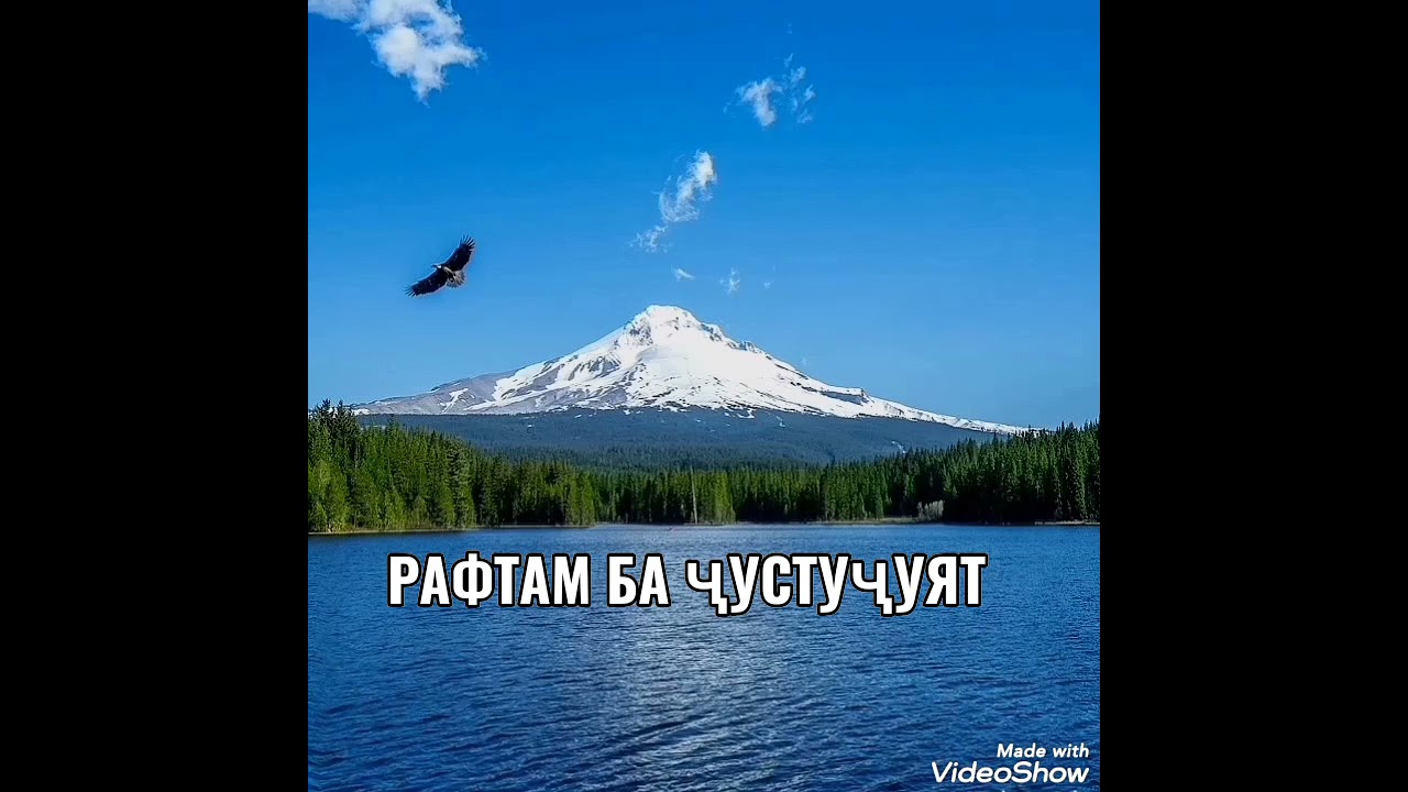 Пилдони миёна. Фарҳод. Рафтам ба ҷустуҷуят